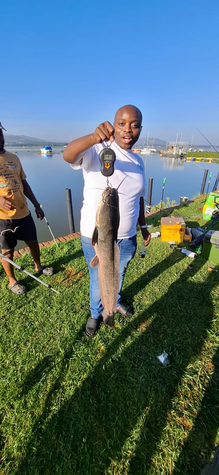 Mlu on the CatFish